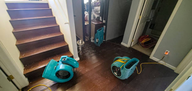 Best Flooded house restoration  in Salix, PA