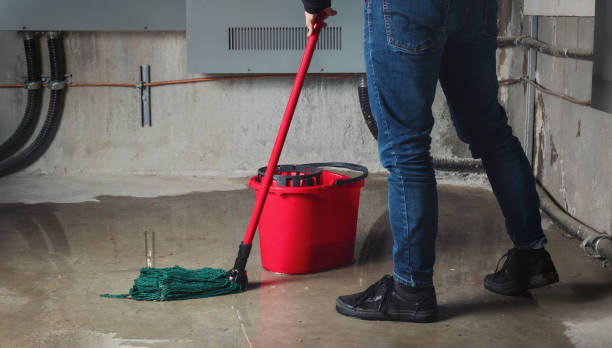 Best Water damage restoration insurance claims  in Salix, PA