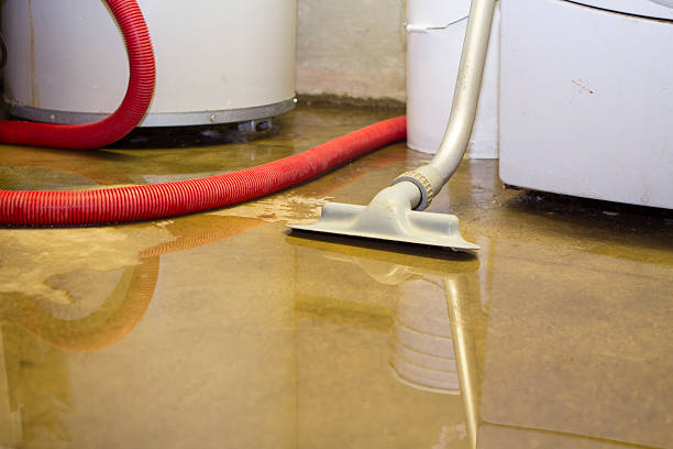 Trusted Salix, PA Water damage restoration Experts