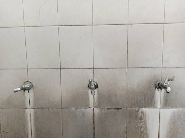 Best 24-hour water damage restoration  in Salix, PA