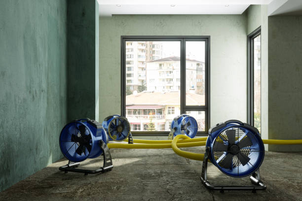 Best Commercial water damage restoration  in Salix, PA