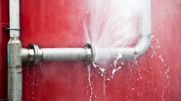 Best Water damage contractors near me  in Salix, PA